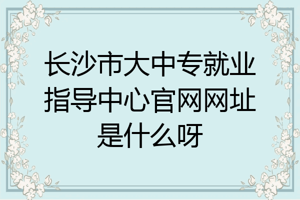 长沙市大中专就业指导中心官网网址是什么呀