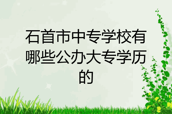 石首市中专学校有哪些公办大专学历的
