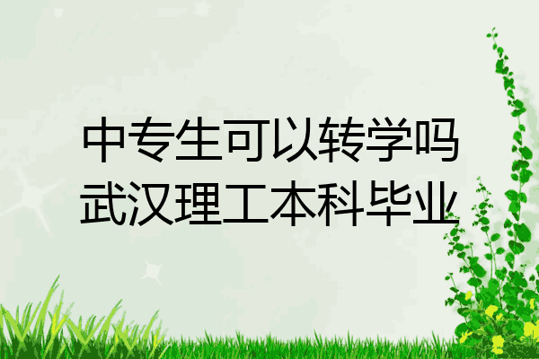 中专生可以转学吗武汉理工本科毕业