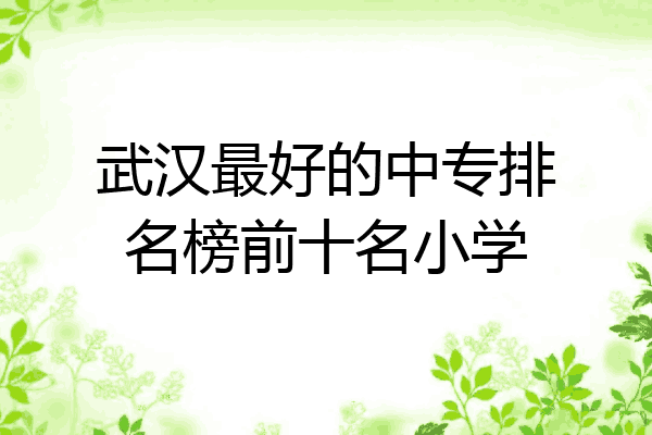 武汉最好的中专排名榜前十名小学