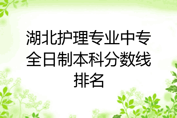 湖北护理专业中专全日制本科分数线排名