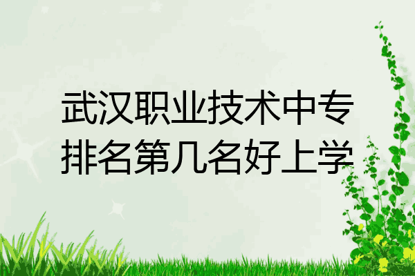 武汉职业技术中专排名第几名好上学