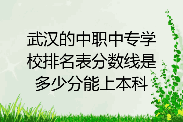 武汉的中职中专学校排名表分数线是多少分能上本科