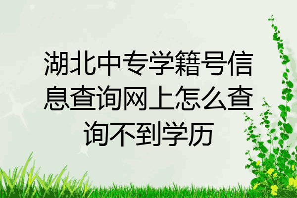 湖北中专学籍号信息查询网上怎么查询不到学历