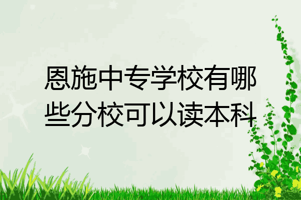 恩施中专学校有哪些分校可以读本科