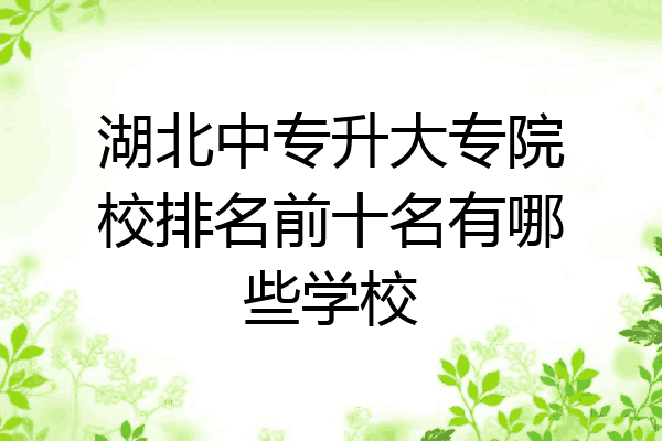 湖北中专升大专院校排名前十名有哪些学校
