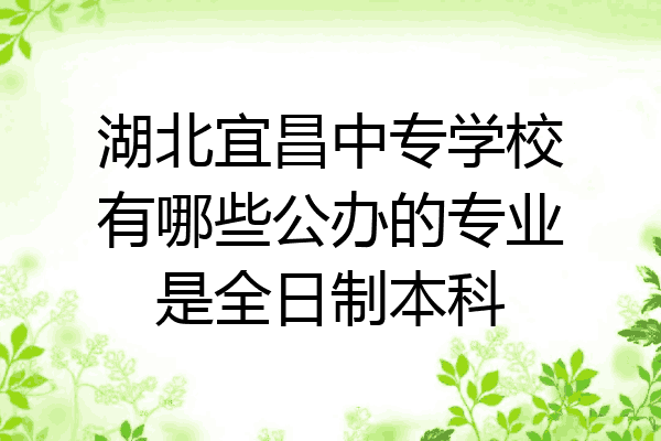 湖北宜昌中专学校有哪些公办的专业是全日制本科