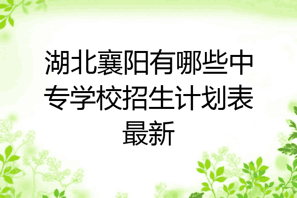 湖北襄阳有哪些中专学校招生计划表最新