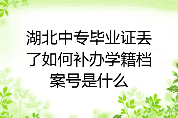 湖北中专毕业证丢了如何补办学籍档案号是什么