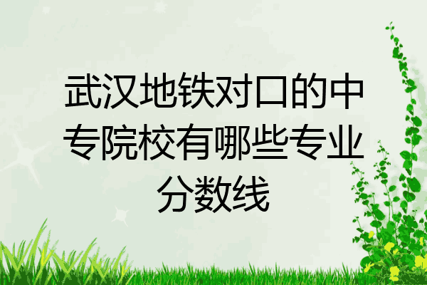 武汉地铁对口的中专院校有哪些专业分数线