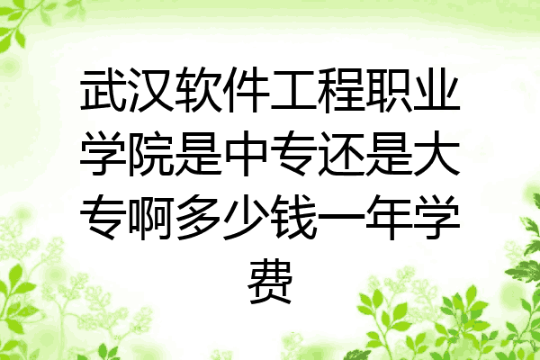 武汉软件工程职业学院是中专还是大专啊多少钱一年学费