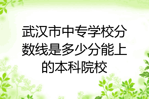 武汉市中专学校分数线是多少分能上的本科院校