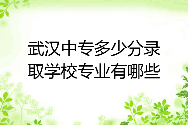 武汉中专多少分录取学校专业有哪些