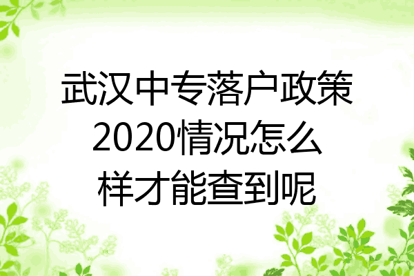 武汉中专落户政策2020情况怎么样才能查到呢