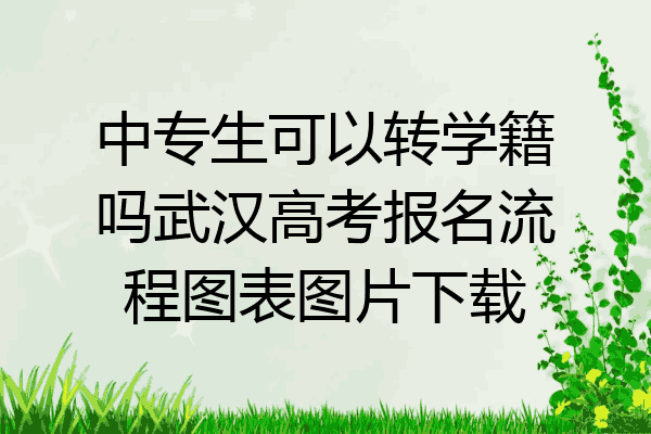 中专生可以转学籍吗武汉高考报名流程图表图片下载