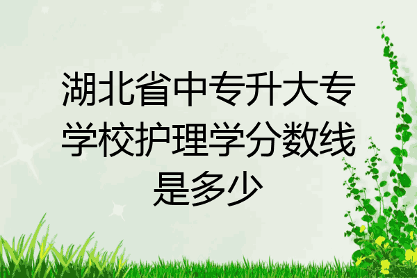 湖北省中专升大专学校护理学分数线是多少