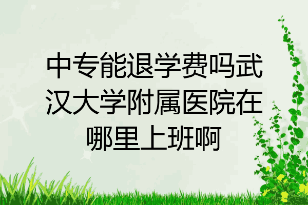 中专能退学费吗武汉大学附属医院在哪里上班啊