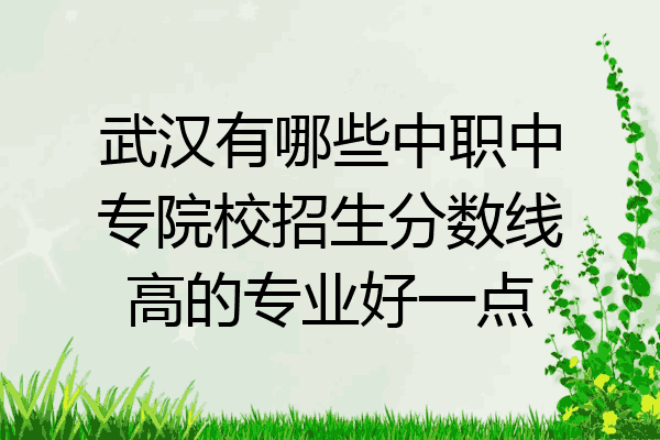 武汉有哪些中职中专院校招生分数线高的专业好一点