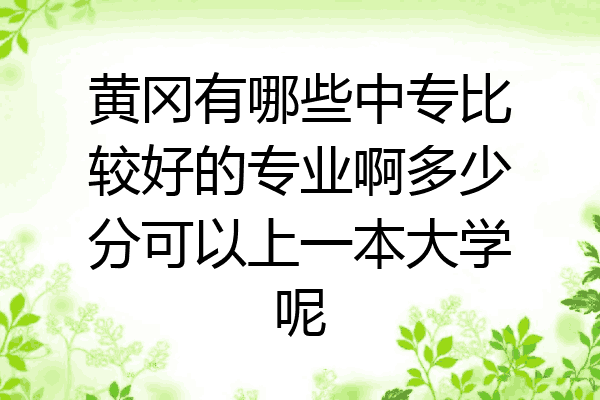 黄冈有哪些中专比较好的专业啊多少分可以上一本大学呢