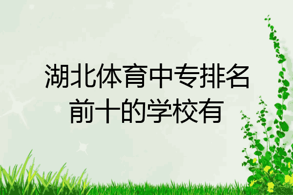 湖北体育中专排名前十的学校有
