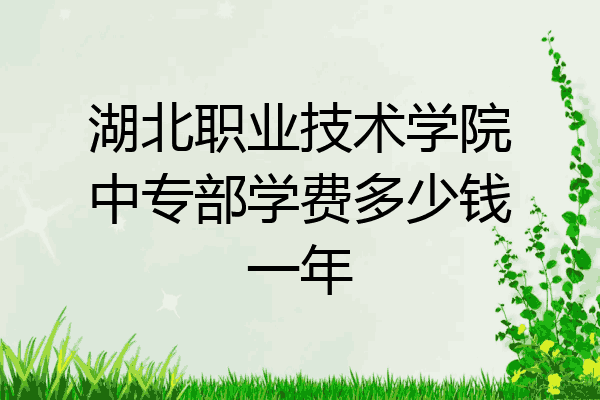 湖北职业技术学院中专部学费多少钱一年