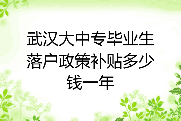 武汉大中专毕业生落户政策补贴多少钱一年
