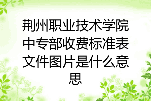荆州职业技术学院中专部收费标准表文件图片是什么意思