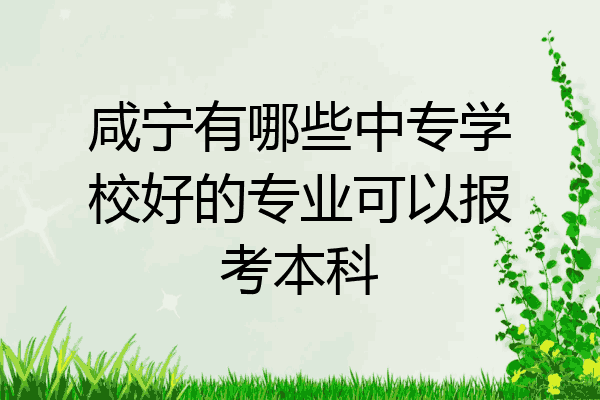 咸宁有哪些中专学校好的专业可以报考本科