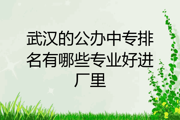 武汉的公办中专排名有哪些专业好进厂里