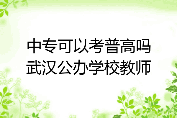 中专可以考普高吗武汉公办学校教师