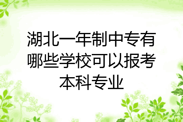 湖北一年制中专有哪些学校可以报考本科专业