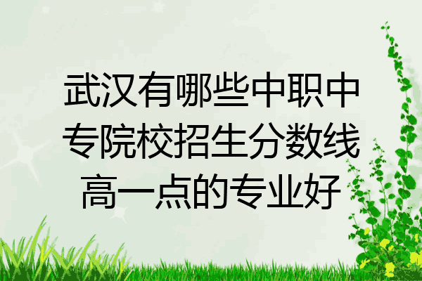 武汉有哪些中职中专院校招生分数线高一点的专业好