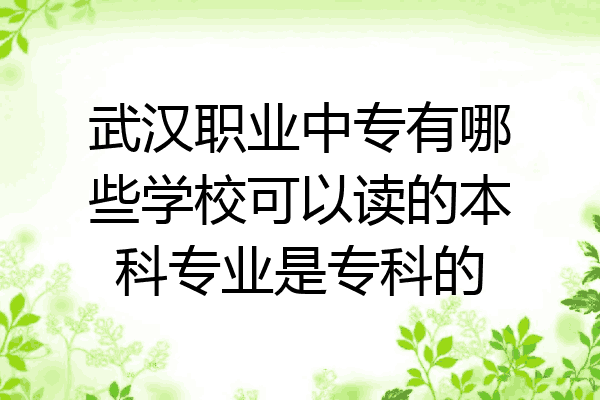 武汉职业中专有哪些学校可以读的本科专业是专科的