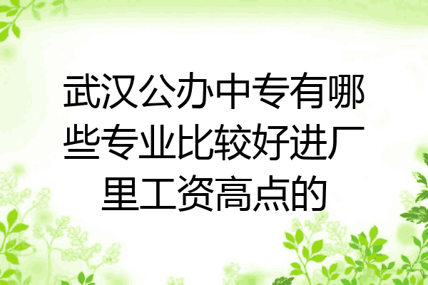 武汉公办中专有哪些专业比较好进厂里工资高点的