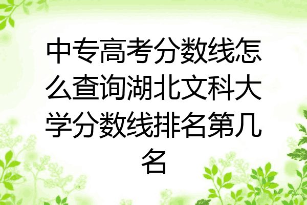 中专高考分数线怎么查询湖北文科大学分数线排名第几名
