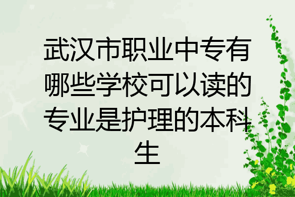 武汉市职业中专有哪些学校可以读的专业是护理的本科生
