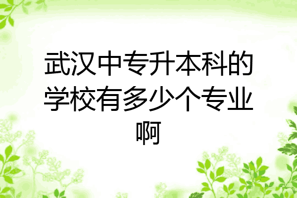 武汉中专升本科的学校有多少个专业啊