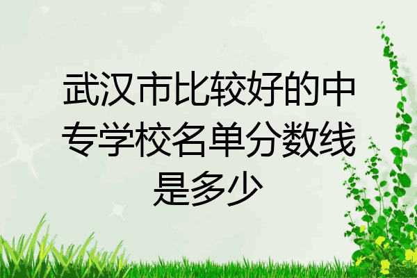 武汉市比较好的中专学校名单分数线是多少