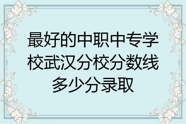 最好的中职中专学校武汉分校分数线多少分录取