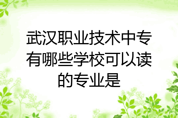 武汉职业技术中专有哪些学校可以读的专业是