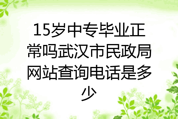 15岁中专毕业正常吗武汉市民政局网站查询电话是多少