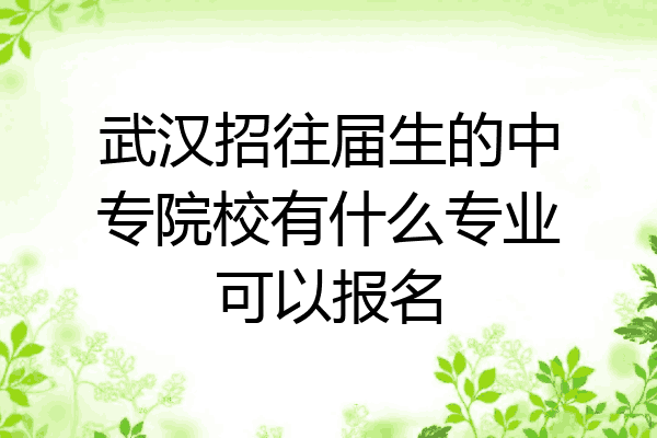 武汉招往届生的中专院校有什么专业可以报名