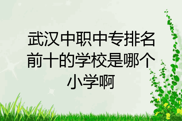 武汉中职中专排名前十的学校是哪个小学啊