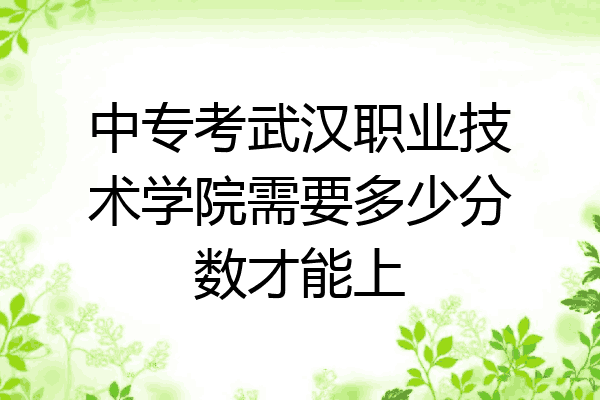 中专考武汉职业技术学院需要多少分数才能上