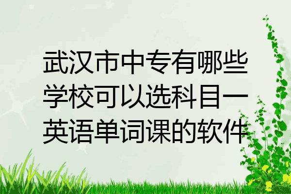 武汉市中专有哪些学校可以选科目一英语单词课的软件