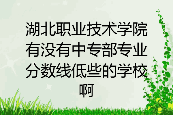 湖北职业技术学院有没有中专部专业分数线低些的学校啊