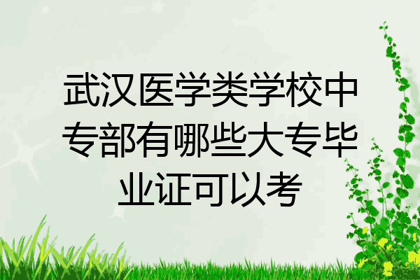 武汉医学类学校中专部有哪些大专毕业证可以考