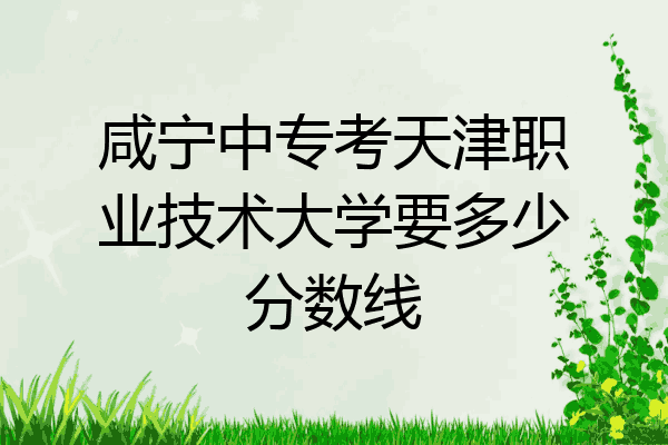 咸宁中专考天津职业技术大学要多少分数线
