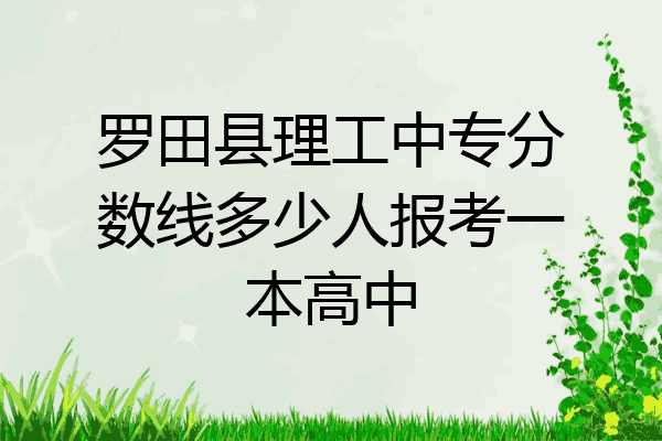 罗田县理工中专分数线多少人报考一本高中