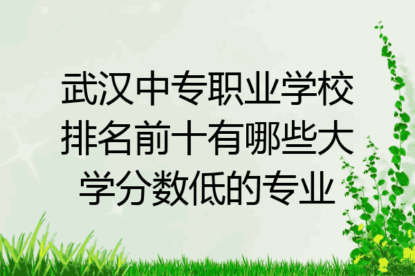 武汉中专职业学校排名前十有哪些大学分数低的专业